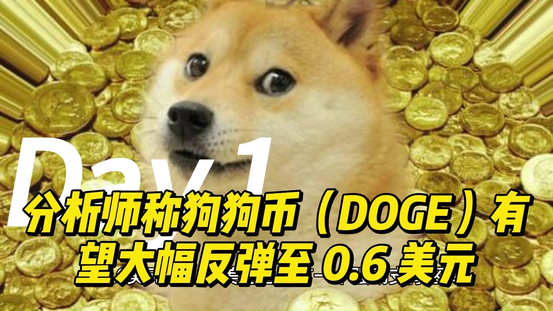 关于狗狗币突遭安全漏洞，流失高达23.04万美元的信息-开云中国官网入口